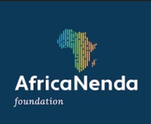 AfricaNenda Report Highlights Surge in Instant Payments Across Africa