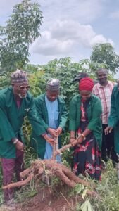 KWPOLY Harvests 250 Tonnes of Cassava, Targets Agribusiness Growth